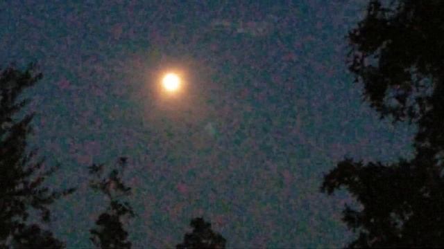 What A Beautiful Moon 💕 7/15/19 смотреть онлайн