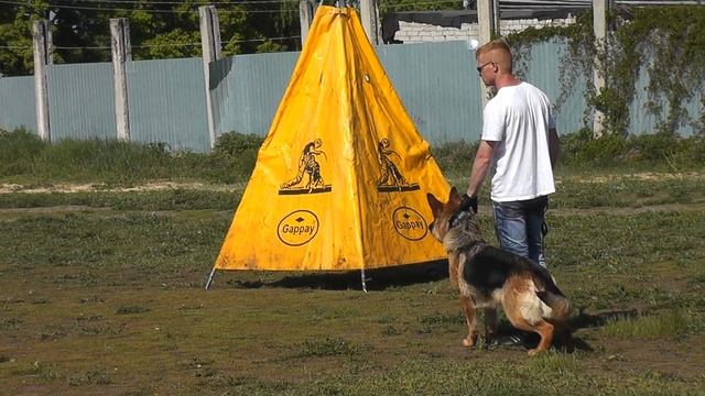 МЕЛАНИ ХЕЛЬГА ФРОМ ФОРТ ОГИР смотреть онлайн
