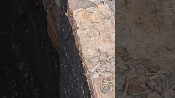 Чистка выгребной ямы от ила и промывка грунта стен