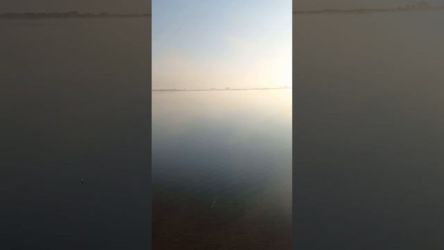 Цитата с утра #природа #красотаприроды #цитата #цитаты #цитатасутра #цитатасосмыслом #сосмыслом #жиз смотреть онлайн