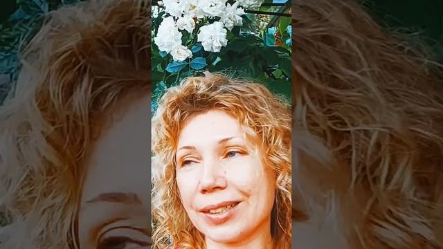 Аренда дома в Кисловодске.Шале на Пчелиной. тел. 89283707081 #кисловодск #отдых #шаленапчелиной смотреть онлайн