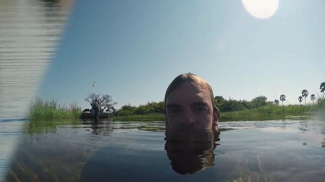 Another average day on safari with African Family Safaris... смотреть онлайн