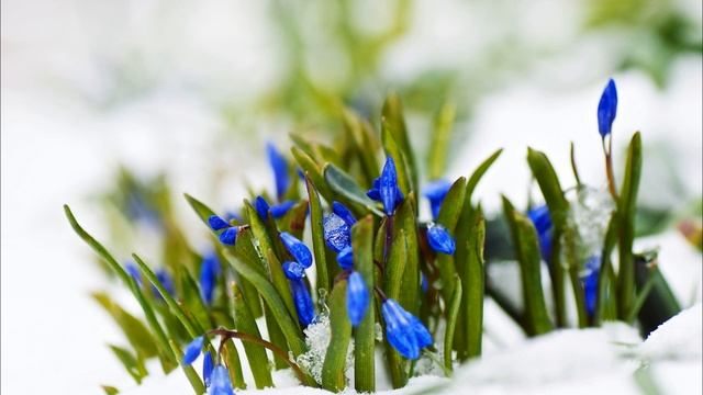 Никто не хочет ухаживать за бабушкой, но все претендуют на ее квартиру. Истории из жизни смотреть онлайн