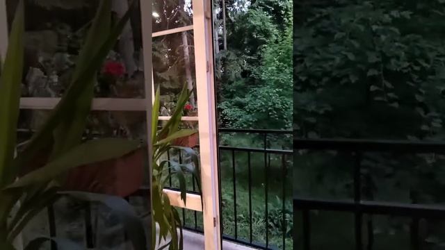 квартира город Светлогорск ! смотреть онлайн