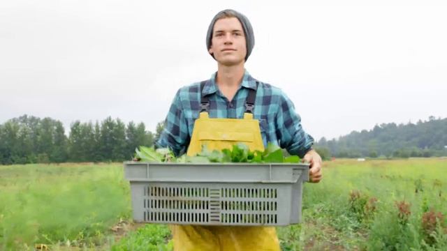 Own it 2 Start_it_4_1 смотреть онлайн