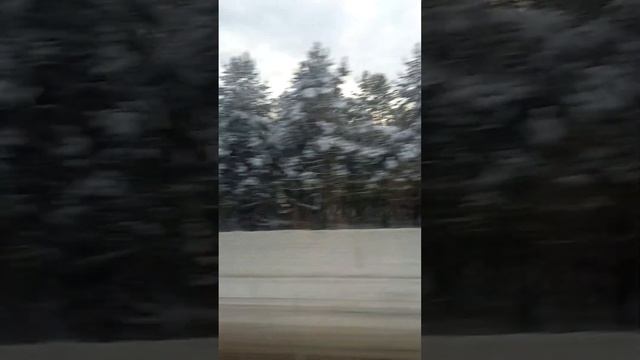 едим на автобусе от Барнаула до Новосибирска #Новосибирск #Барнаул #едимизБарноула #едимвНовосибирс смотреть онлайн