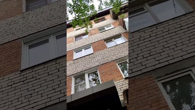 #красивыйдом #владикавказ #кавказ #северныйкавказ #севернаяосетия #россия #видеоблогер смотреть онлайн