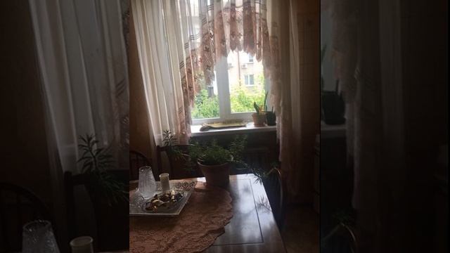 Продам квартиру в тихом центре-SLX.com.ua смотреть онлайн