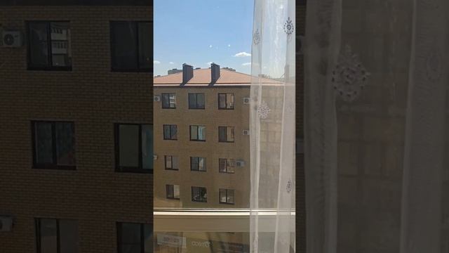 10 августа 2024 г. смотреть онлайн