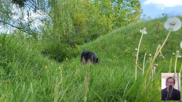 Муж выставил жену из квартиры А спустя время молил вернуться. Поверила, вернулась, и вдруг звонок смотреть онлайн