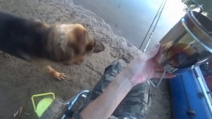 Как мы с псом Ларри на рыбалку съездили