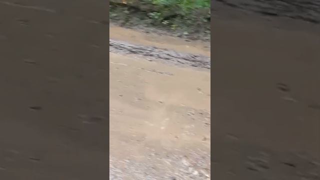 В Усть-Куте дорога по улице Ледорезной превратилась в месиво грязи смотреть онлайн