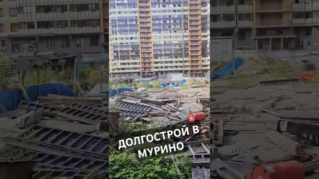 ДОЛГОСТРОЙ В МУРИНО #мурино #долгострой #замороженнаястройка #стройка #недвижимость #спб #Питер смотреть онлайн