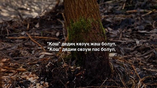 Абдужапар Аскаров | Каректен аткан мылтыктай смотреть онлайн