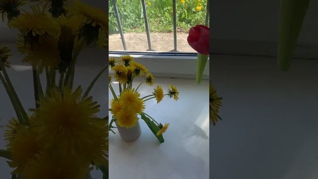 Аренда коммерческой недвижимости г. Егорьевск смотреть онлайн