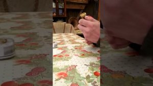 Переделка счётчика на воду ! отлично #переделкасчетчика #сервисвдом