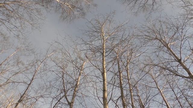 Аномалия Проверка на достоверность 2018 г смотреть онлайн