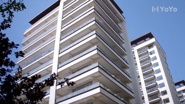 灰姑娘對霸總青澀告白，兩人在車內激吻，太甜了💖 Chinese Television Dramas смотреть онлайн