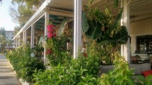 Отель Миранда Морал в Кемере. Ответы на вопросы. Часть I