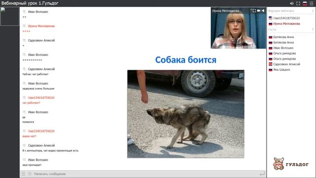 Урок 1 смотреть онлайн