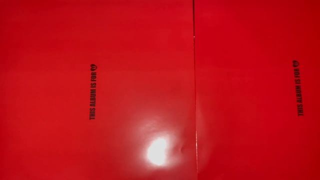 Lady Gaga - Born This away (Urban Outfitters Exclusive Red Vinyl) смотреть онлайн