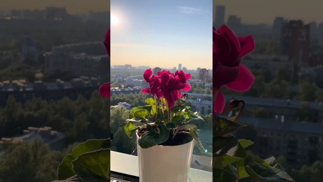 Открыточный вид из окон семейных квартир в Клубном доме BARCELONA смотреть онлайн