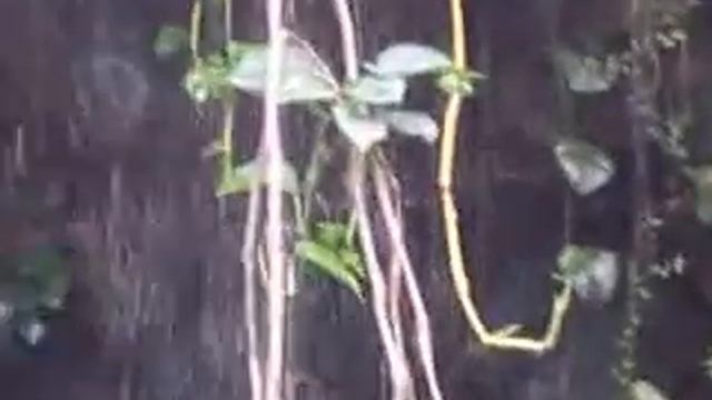 Израиль. Утопия парк 11/8/12 -Часть 1 смотреть онлайн
