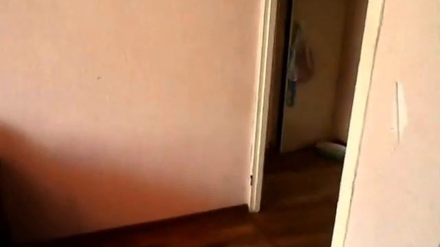 двухкомнатная квартира по ул. Монтажников, д. 1 смотреть онлайн