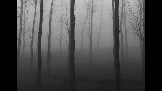 Тебе что, жалко что ли? Подари мне свою квартиру! Заявила свекровь... смотреть онлайн