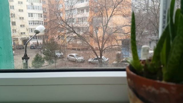 Snow in March 23d 2021. View from my window. смотреть онлайн