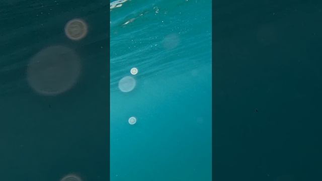 Невероятный первый полёт на флайборде эмоции зашкаливают смотреть онлайн