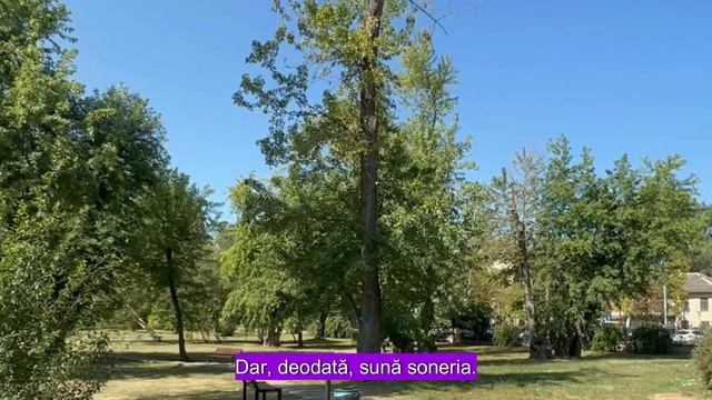 Când tatăl ei a murit, fiica a devenit o „Cenuşăreasă” în propria casă, fără să bănuiască... Poveşt смотреть онлайн