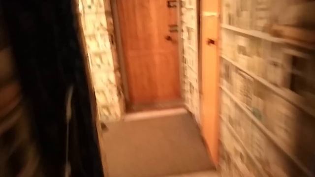 Санкт-Петербург Россия Бобочино Поляны моя квартира Выборгское шоссе дом 36 квартира13 лета2024/753 смотреть онлайн