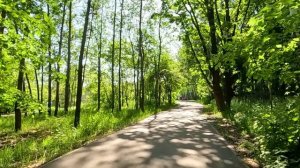 Овдовев, многодетная мать устроилась женой на час… А приехав в коттедж, увидела свое траурное фото…