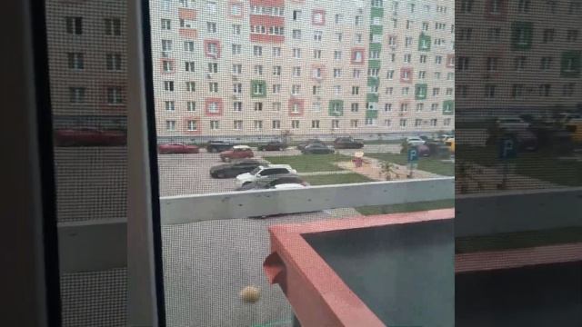 #лето #travel Наша квартира в Нижнем Новгороде смотреть онлайн