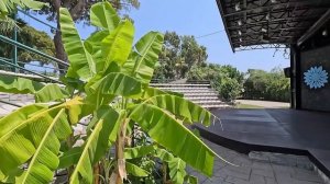 Турция 2024. ПЕРВЫЙ ШОК от ОТЕЛЯ❗️Zena Resort Hotel 5*. НЕОЖИДАННО! ПЕРВАЯ линия. Кемер сейчас