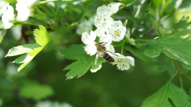 Мой Новороссийск смотреть онлайн