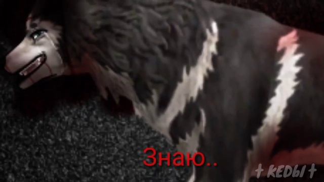 |Wild Craft| |wcmv| Стабильно смотреть онлайн