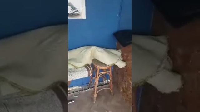 стирка ковров на автомойке (( смотреть онлайн