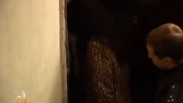Державні виконавці описали та наклали арешт на квартири боржників смотреть онлайн