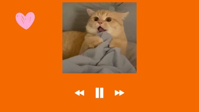 ♬ Лучшие песни ♬ А4 ♬ speed up ♬ смотреть онлайн