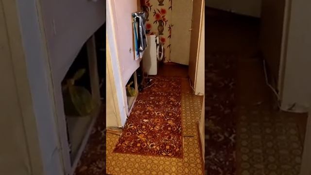 Москва, Первомайское поселение, Птичное, ул Лесная 87 смотреть онлайн