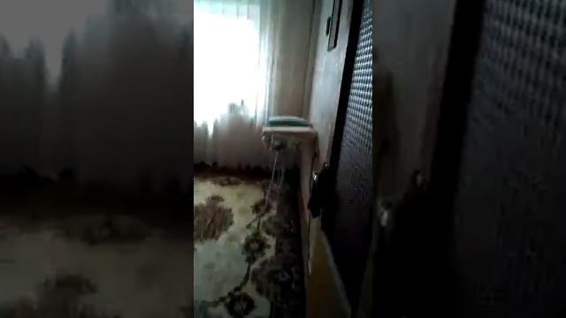Шикарные апартаменты смотреть онлайн