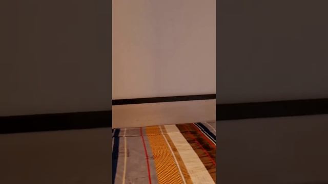 Аренда 2к квартиры в ЖК Птичка смотреть онлайн