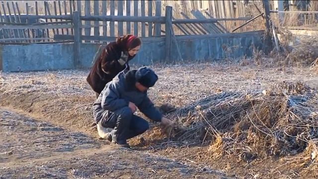 Ноябрь в Благовещенске выдался самым бесснежным за последние 15 лет смотреть онлайн