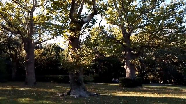 Алупка, Воронцовский дворец смотреть онлайн