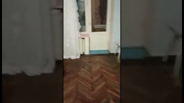 Карпинского д 28, корп 6 смотреть онлайн