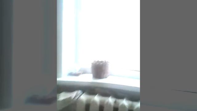 Хожу по квартире смотреть онлайн