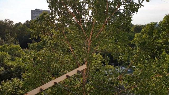 Хабаровск 30.06.2020 смотреть онлайн