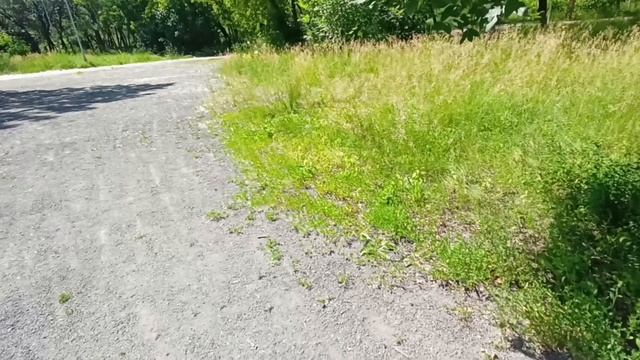 Муж взял на отдых маму, а мне сказал: "Она давно хотела на море, а денег только на двоих смотреть онлайн